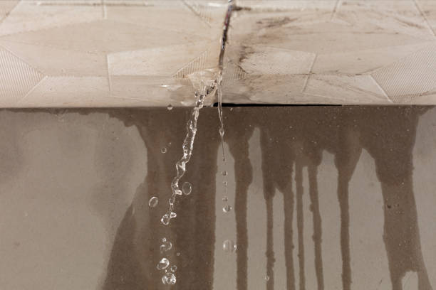 Professional Burst Pipe Cleanup technician working in Apison, TN